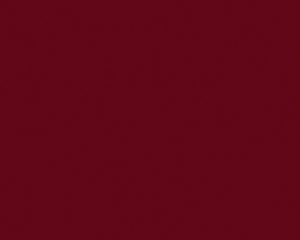 Fensterläden Farbe RAL 3004