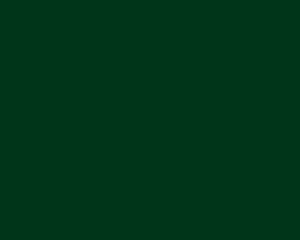 Fensterläden Farbe RAL 6005